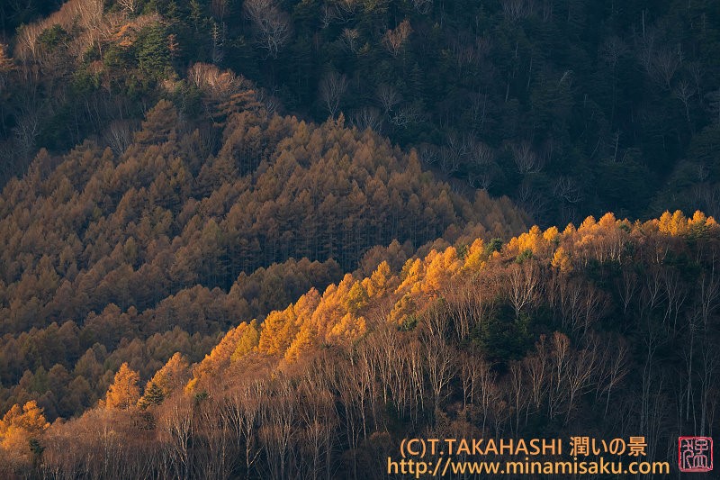 ../Images/7R251108 (26).jpg